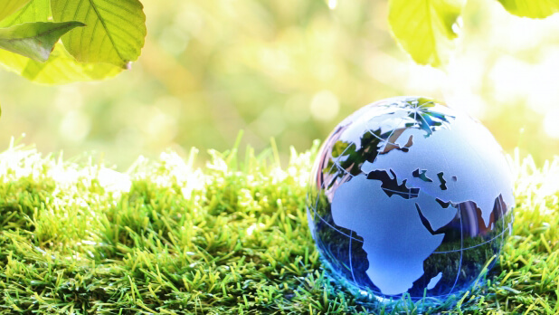 Blue glass globe resting on green moss with leafy branches above, symbolizing the Earth and nature in a sunny outdoor setting.