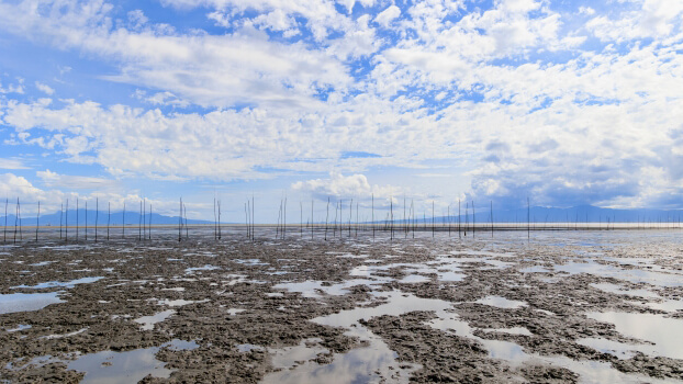24422230_s - 株式会社SeaChallenge Mudflat at low tide with numerous vertical stakes and reflective pools under a blue, partly cloudy sky at the horizon.