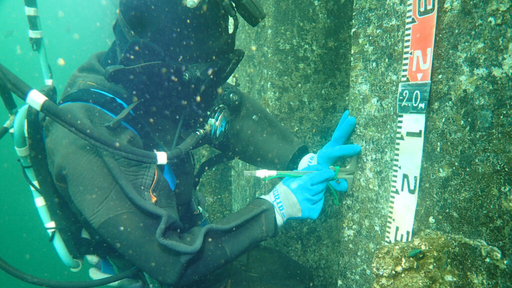 OLYMPUS DIGITAL CAMERA - 株式会社SeaChallenge Scuba diver in a wetsuit and blue gloves uses a measuring scale on an underwater rock wall, documenting about 2 meters of depth/length measured.